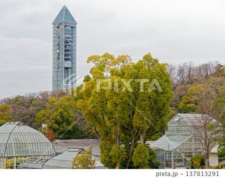 植物園の温室と東山スカイタワー 植物園の温室と東山スカイタワー 137813291