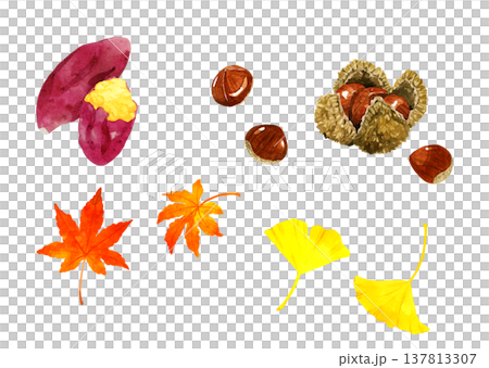 Roasted sweet potato, chestnut, and autumn leaves set - hand-drawn watercolor illustration material Roasted sweet potato, chestnut, and autumn leaves set - hand-drawn watercolor illustration material 137813307