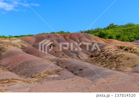 モーリシャスにある七色の大地のとても美しい風景 137814520