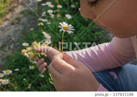 aesthetic macro portrait: child's face next to a perfectly formed daisy in soft daylight 137815196