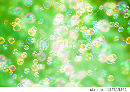 草原バックのシャボン玉 137815861