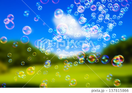 草原バックのシャボン玉 草原バックのシャボン玉 137815866