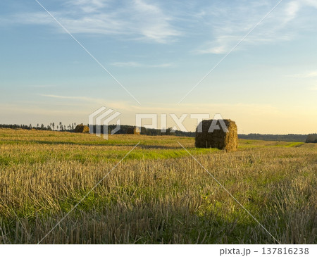 Hay bale stands in rural countryside field during summer harvest. Golden straw rests on grass meadow Hay bale stands in rural countryside field during summer harvest. Golden straw rests on grass meadow 137816238