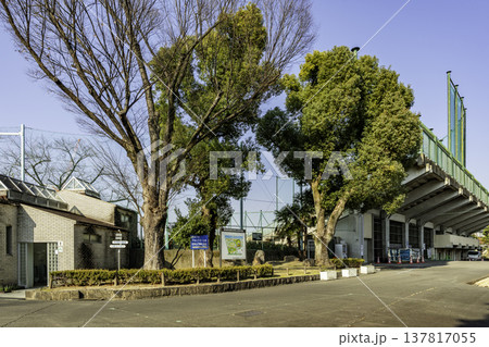 熱田 熱田神宮公園 熱田球場 愛知県名古屋市 熱田 熱田神宮公園 熱田球場 愛知県名古屋市 137817055