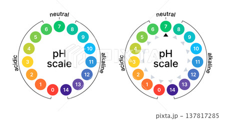 Ph balance scale. Acid or alkaline value. Circle chart test. Litmus indicator for chemistry, medicine, and soil. Ph balance scale. Acid or alkaline value. Circle chart test. Litmus indicator for chemistry, medicine, and soil. 137817285