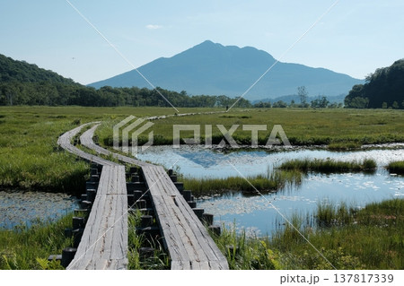 夏の爽やかな青空のもと池塘の傍らを蛇行して伸びる木道と名峰・燧ヶ岳 夏の爽やかな青空のもと池塘の傍らを蛇行して伸びる木道と名峰・燧ヶ岳 137817339