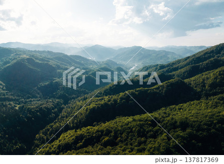 Majestic landscape of mountains covered with trees, aerial view 137817369