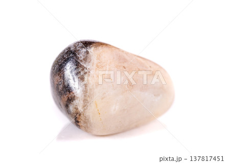 Macro mineral stone jasper on a white background Macro mineral stone jasper on a white background 137817451
