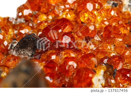 macro mineral stone Spessartine, orange, red garnet with quartz on white background macro mineral stone Spessartine, orange, red garnet with quartz on white background 137817456