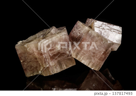 Macro mineral stone Aragonite on a black background 137817493