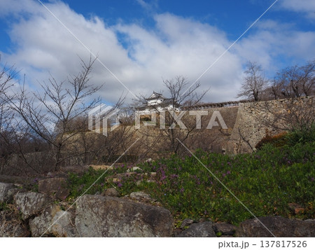 岡山県　津山城 137817526