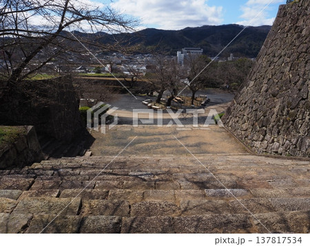 岡山県 津山城 岡山県 津山城 137817534