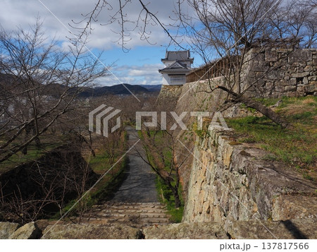 岡山県　津山城 137817566