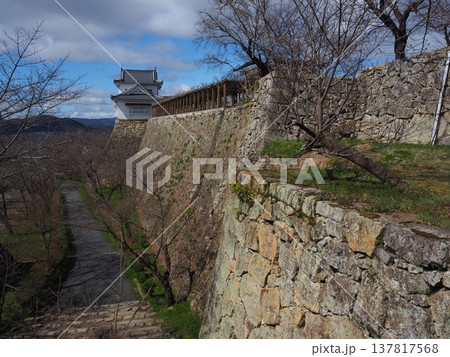 岡山県 津山城 岡山県 津山城 137817568