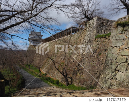 岡山県 津山城 岡山県 津山城 137817579