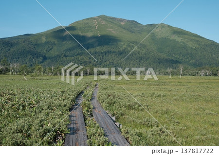 夏の爽やかな青空のもと尾瀬ヶ原の木道の奥にそびえる名峰・至仏山 夏の爽やかな青空のもと尾瀬ヶ原の木道の奥にそびえる名峰・至仏山 137817722
