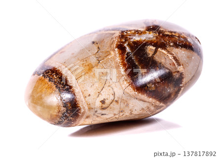 Macro mineral stone Simbirzit and Septaria on white background Macro mineral stone Simbirzit and Septaria on white background 137817892