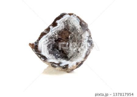 Macro mineral stone agate kidney gerbera on white background Macro mineral stone agate kidney gerbera on white background 137817954