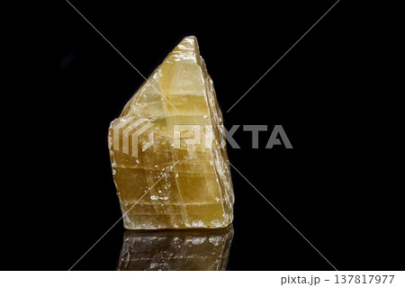 Macro mineral stone yellow Calcite on a black background 137817977