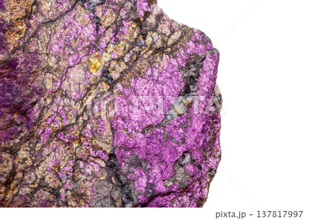 Macro mineral stone purpureus, (purple) purpurite in the breed a white background Macro mineral stone purpureus, (purple) purpurite in the breed a white background 137817997