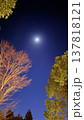 木の間から見える月 137818121
