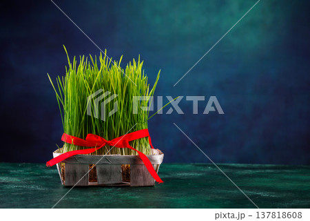Traditional Azerbaijan spring holiday Novruz concept Traditional Azerbaijan spring holiday Novruz concept 137818608