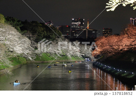 春爛漫満開 137818652