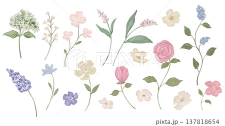 Watercolour leaves collection featuring botanical illustrations. Green foliage elements, tropical plants 137818654