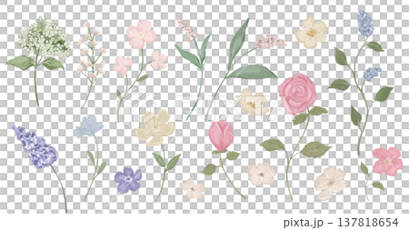 Watercolour leaves collection featuring botanical illustrations. Green foliage elements, tropical plants 137818654