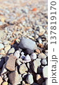 海岸の石ころと貝がら 137819170