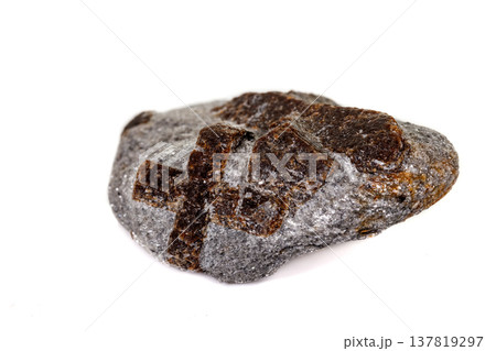 macro mineral stone Staurolite on a white background 137819297