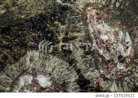 Macro Diopside mineral stone on black background Macro Diopside mineral stone on black background 137819321