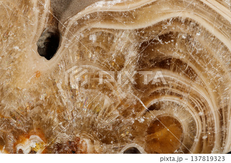Macro stone Flint mineral on a black background Macro stone Flint mineral on a black background 137819323