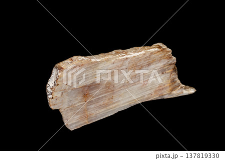 Macro of a stone mineral Moonstone on a black background 137819330