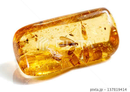 Macro stone mineral amber with insects, flies and beetles on a white background close up 137819414
