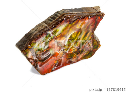 Macro stone Ammolite mineral on white background Macro stone Ammolite mineral on white background 137819415