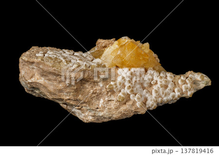 Macro stone Aragonite mineral on a black background Macro stone Aragonite mineral on a black background 137819416