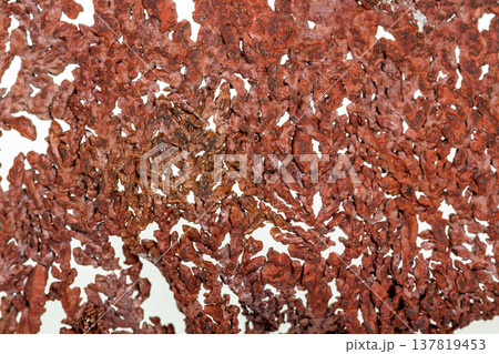 Macro copper mineral stone on white background Macro copper mineral stone on white background 137819453