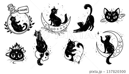Mystic magic black cats, moon and stars, witchcraft and astrology vector symbols. Mystic celestial cats animals with dreams bottle, skull and mushroom line art signs for gothic tarot or tattoo 137820300