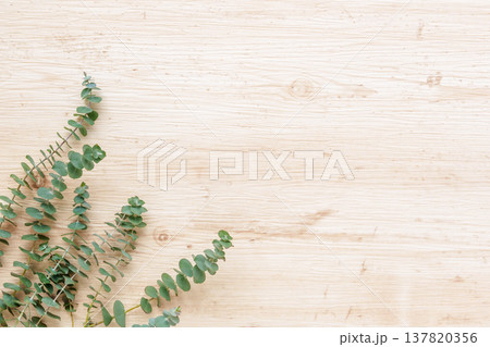 木目背景にユーカリのグリーンフレーム 137820356