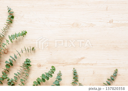 木目背景にユーカリのグリーンフレーム 137820358