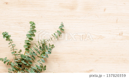木目背景にユーカリのグリーンフレーム 137820359
