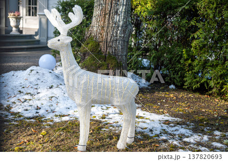 Outdoor holiday decoration displays a white reindeer in a garden setting by a house Outdoor holiday decoration displays a white reindeer in a garden setting by a house 137820693