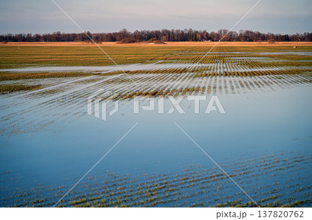 Water covers fields as spring thaw begins, leading to rising water levels and floods. 137820762