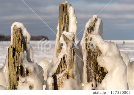Frozen wooden posts on the shore with ice and snow during winter season Frozen wooden posts on the shore with ice and snow during winter season 137820803