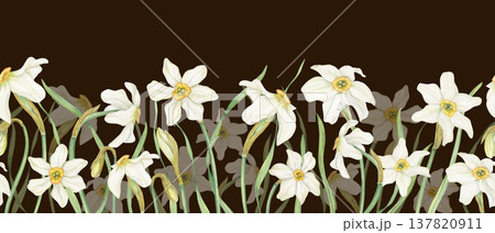 Watercolor blooming Daffodils seamless horizontal banner on black background. Hand drawn spring white narcissus flowers ornate. Floral pattern for Easter textile, kitchen decor, web design 137820911