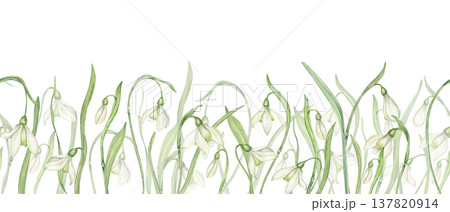 White snowdrops seamless horizontal banner watercolor illustration on isolated background. Early spring bell shaped flowers pattern for kitchen textile, websites, organic skincare packaging 137820914