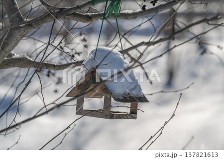 Snowtopped wooden feeder hanging on branch, delicate twigs framing rustic roof, soft bokeh background of bright snow, invitation for small birds, tactile texture of weathered wood 137821613
