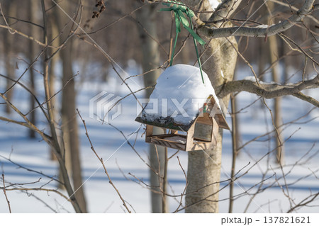 Cozy snowy nature setting observed. Calm winter landscape captured with warmth. Tranquil winter scene showcasing wooden feeder amidst snow and gentle natural surroundings 137821621