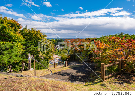 宮城県松島町 色づくもみじや木々と新富山展望台からの秋の眺望 宮城県松島町 色づくもみじや木々と新富山展望台からの秋の眺望 137821840